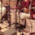 Seyed Ali Jaberi Sina Sarlak Hamdel Ensemble To Welcome The Spiritual King Live