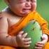 Little Monk So Cute Video Foryou Trendingshorts Viralshort Littelmonk Cute Monking Cutebaby