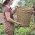 Mr Vang Came To Help Mrs Dam Pick Tea And Met Mrs Vy Whom He Had Helped Before