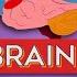 The Hand Brain Model Self Regulation Lesson 2