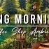 Relaxing Morning Jazz Music At Cozy Porch Ambience Smooth Jazz Instrumental Music For Work Study