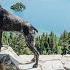 VAN LIFE LAKE TAHOE Quick Guide Of Biking Hiking