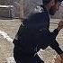 Ali Vs The Old Woman A Battle To Protect Shahrbanoo S Children