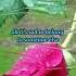 It S Sad To Belong England Dan And John Ford Coley