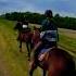 Готовимся к соревнованиям Music Horse лошади Equestrian Horseriding конныйспорт