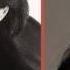 Jessye Norman Neil Schicoff C Est Toi C Est Moi Carmen