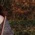 Brisinga Nithsdale Forest Session Video Fairy Folk