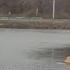 EASIEST WAY TO FISH THE SENKO FOR LARGEMOUTH BASS EASY INEXPENSIVE
