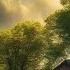 Gentle Music For Relaxation Calming The Nervous System Healing Music For The Heart And Blood