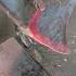 Lohar Working Electric Hammer Work Lohayke Chini Tarika Work Lohar Thing Electric Hathiyaar