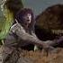 Kate Bush The Dreaming