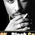 2Pac Who Do You Believe In Feat Kadafi Nancy Fletcher