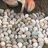 Posatore Di Sassi Di Fiume Al Lavoro Stone Patio Skills Skill Tiktok Trend Pebbles Concrete