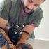 Venüs Hapı Yutunca Sakinleşti Cat Kedi Animals