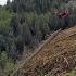 Climate 101 Deforestation National Geographic