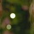 Sparks Fly When Megan Marx Meets The Bachelor The Bachelor Australia