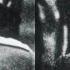 Stalin Vs Lenin Kurxxed Diamonds