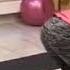 Детский фитнес G Fit Санкт Петербург