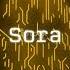 SORA Netflix Killer
