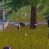 Soo Kar Marega Aapun Viral Pubgmobile Gaming Shareitup Pubgm Bgmi Funny Battlegroundsmobile