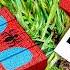 I Found Spider Man S Secret Minecraft USB