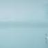 Swan Lake Op 20 No 5 Pas De Deux II Andante