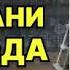 На грани развода Маша Трауб Аудиокнига