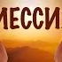 Ты Мессия читает NikOsho аудиокнига Стори Уотерс
