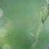 Https Www Youtube Com Watch V Sg UcNFd 0s