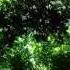 Relaxing Celtic Music Beautiful Music Relaxing Music Flute Music Meditation Music 91