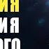 Божественная Музыка Активация Творческого Потенциала МОЗГ ГЕНИЯ Частота 7 Гц сверхспособности