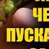 Самый простой способ укоренить любой черенок Черенкование любых черенков от роз до винограда