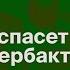 Как древние люди помогают искать новые антибиотики Илья Колмановский подкаст Голый землекоп