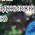 Афсона Украинка спела на русском и таджикском Песня Далера Хонзода и Нигины Амонкуловой
