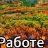 Дуа на успех в работе религия ислам
