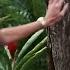 Shooter In The Distance Magnum P I