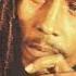 Easy Skanking Bob Marley The Wailers