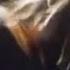 Bolt Thrower Cenotaph Official Video