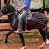 Gallant JP Beginner Donkey