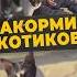 ДОБРОЕ СЕРДЦЕ мирадио новости News Islamicshorts Islamicvideo мусульмане ребенок