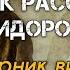 Сборник рассказов от Сидоровича Рассказы про мутантов
