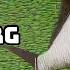 Bream Leszcz Brase Old Burg Russian Fishing 4 461