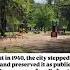 NE Portland Wilshire Park History