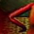 Шарф играет в хоррор Bad Parenting 1 Mr Red Face