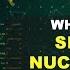 SNPs Single Nucleotide Polymorphism 0 Better Explained