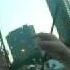 Lollapalooza 2008