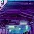 Madeon You Re On Slowed Reverb