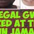 The Biggest GvN Seizure In Jamaica S History Over 220 Illegal GvNz Over 10 000 Rds Seized Wharf