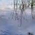 Most Amazing District Park Yerrabi Pond