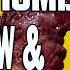 Videodrome 1983 Review Breakdown